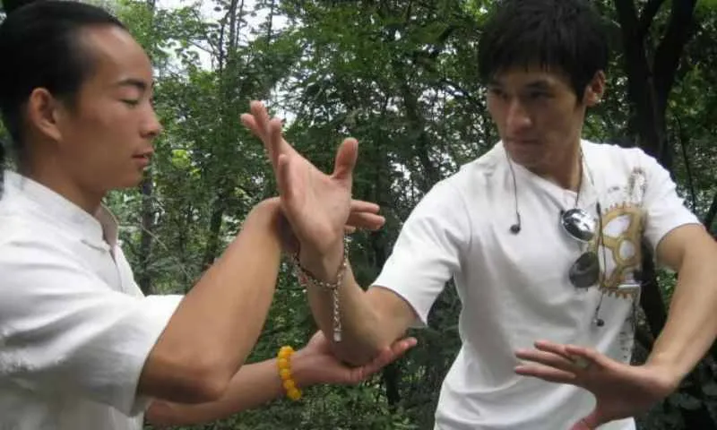 image shows two people doing wudang xing yi quan